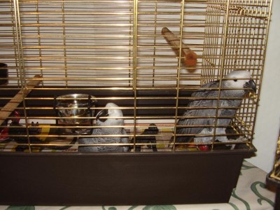 Picture 488.jpg