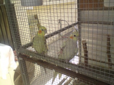 DSC01875 (648 x 486).jpg