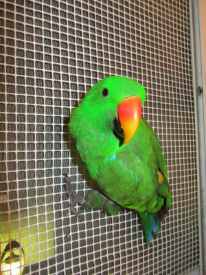 לפני ההרס...