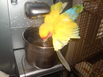 23062011759.JPG