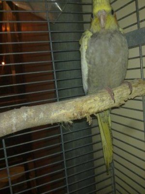 02072011033.jpg