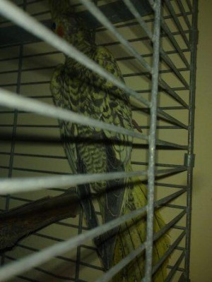 02072011040.jpg