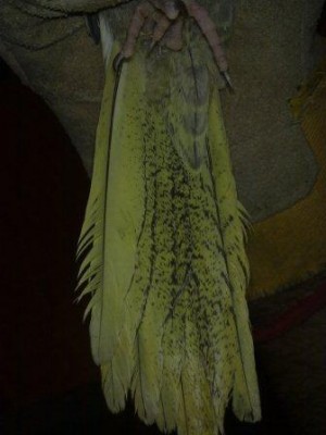 02072011037.jpg