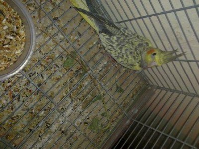 02072011039.jpg