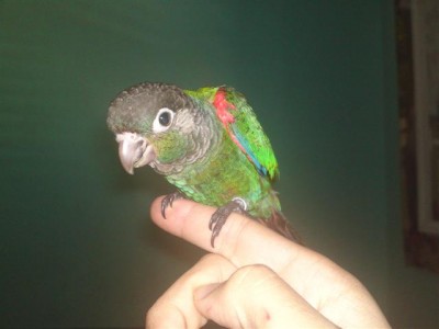 06072011690 (Small).JPG