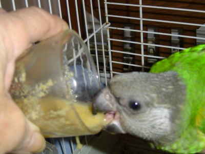 אחר כך לגימה