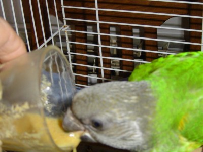 ועכשיו בשלוק אחד לגמור הכל