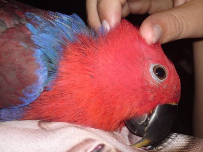 18062011750.JPG