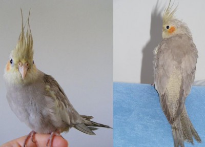 DSCF1336.jpg