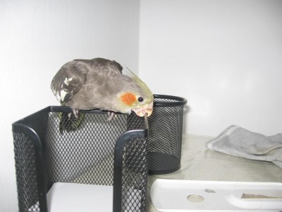 IMG_0083.JPG