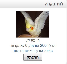 ללא שם.jpg