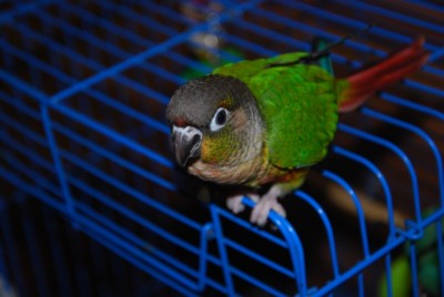DSC_0823.jpg