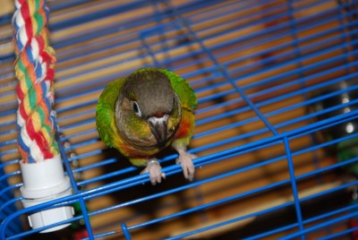 DSC_0832.jpg