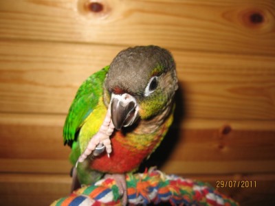 IMG_3595.jpg