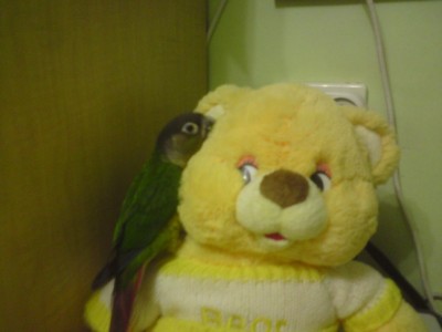 DSC01983 (648 x 486).jpg