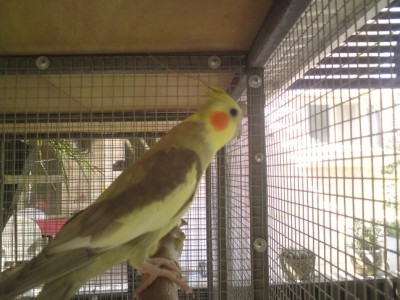 DSC01988 (648 x 486).jpg