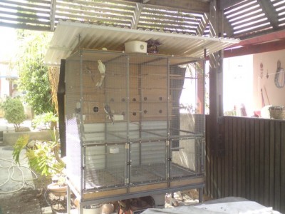 DSC01987 (648 x 486).jpg