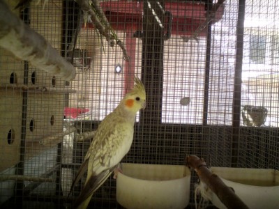 DSC01989 (648 x 486).jpg