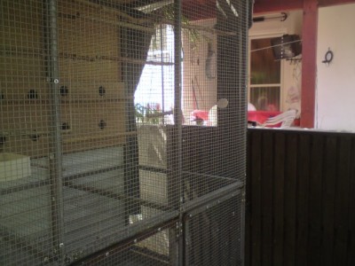 DSC01995 (648 x 486).jpg