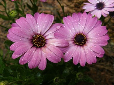 P2080011.JPG