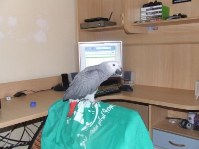 DSCF9859.JPG
