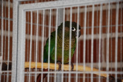 DSC_0913.jpg