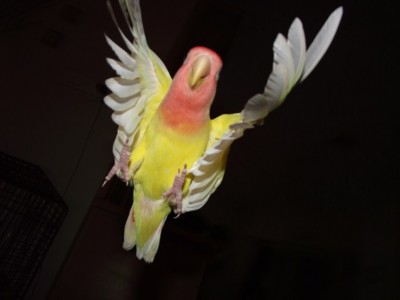 תמונה יפה שתפסתי