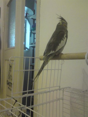 DSC01124 (Medium).JPG