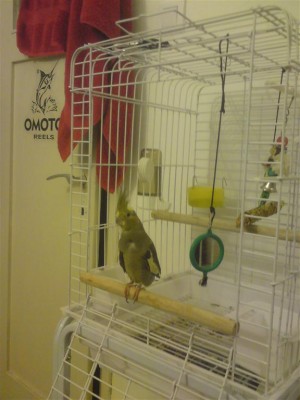 DSC01132 (Medium).JPG