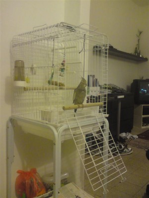 DSC01133 (Medium).JPG