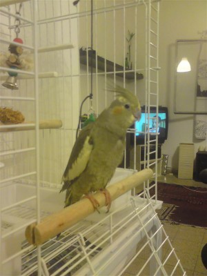 DSC01135 (Medium).JPG