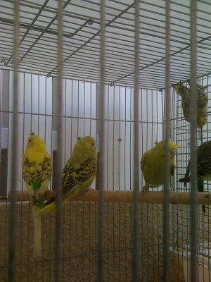 תוכונים 18 003.jpg