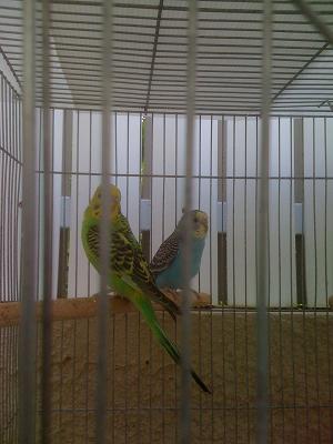 תוכונים 18 001.jpg