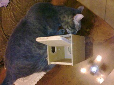 והינה התא מבחוץ.