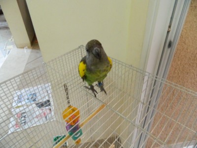 DSCN0196.jpg