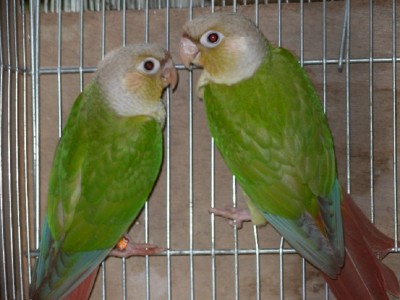 התמונות שלי 023.jpg