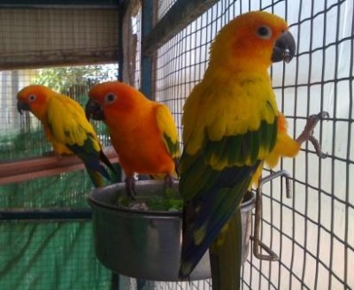 תמונה של ההורים