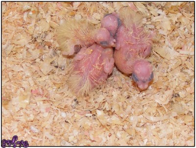 תמונה מאתמול