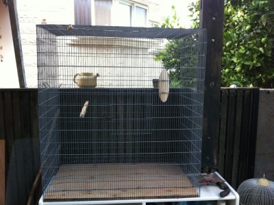 IMG_0147 (1296 x 968).jpg