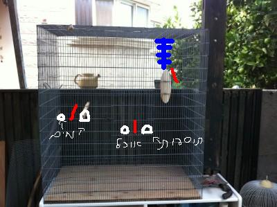 IMG_0147 %281296 x 968%29.jpg