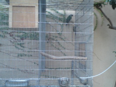 DSC01451 (Medium).JPG