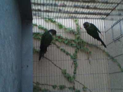 DSC01454 (Medium).JPG