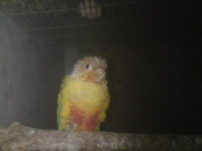 DSC01421 (Medium).JPG