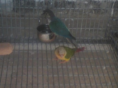 DSC01441 (Medium).JPG