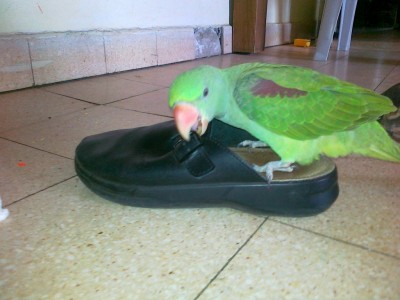 06102011430 (Copy).jpg