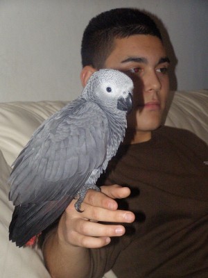 בגיל שלושה חודשים