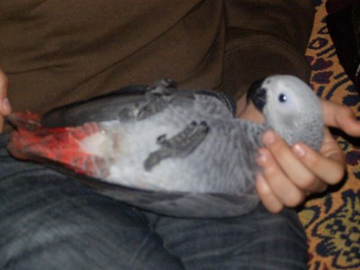 בגיל שלושה חודשים