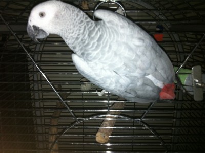 תמונה של הגב שלה (ממש מעכשיו)