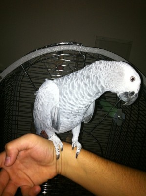 סתם תמונה מעכשיו