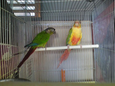 DSC01461 (Medium).JPG